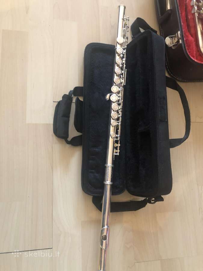 Klarnetas, Fleita , Casio Dh-100, Miraphone 1-k