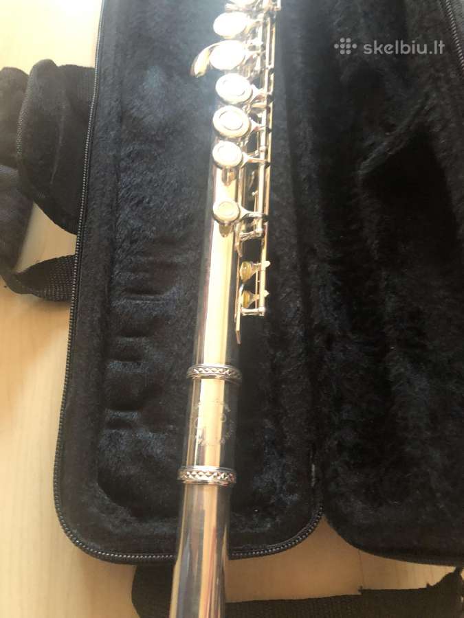 Klarnetas, Fleita , Casio Dh-100, Miraphone 1-k - nuotraukos Nr. 5