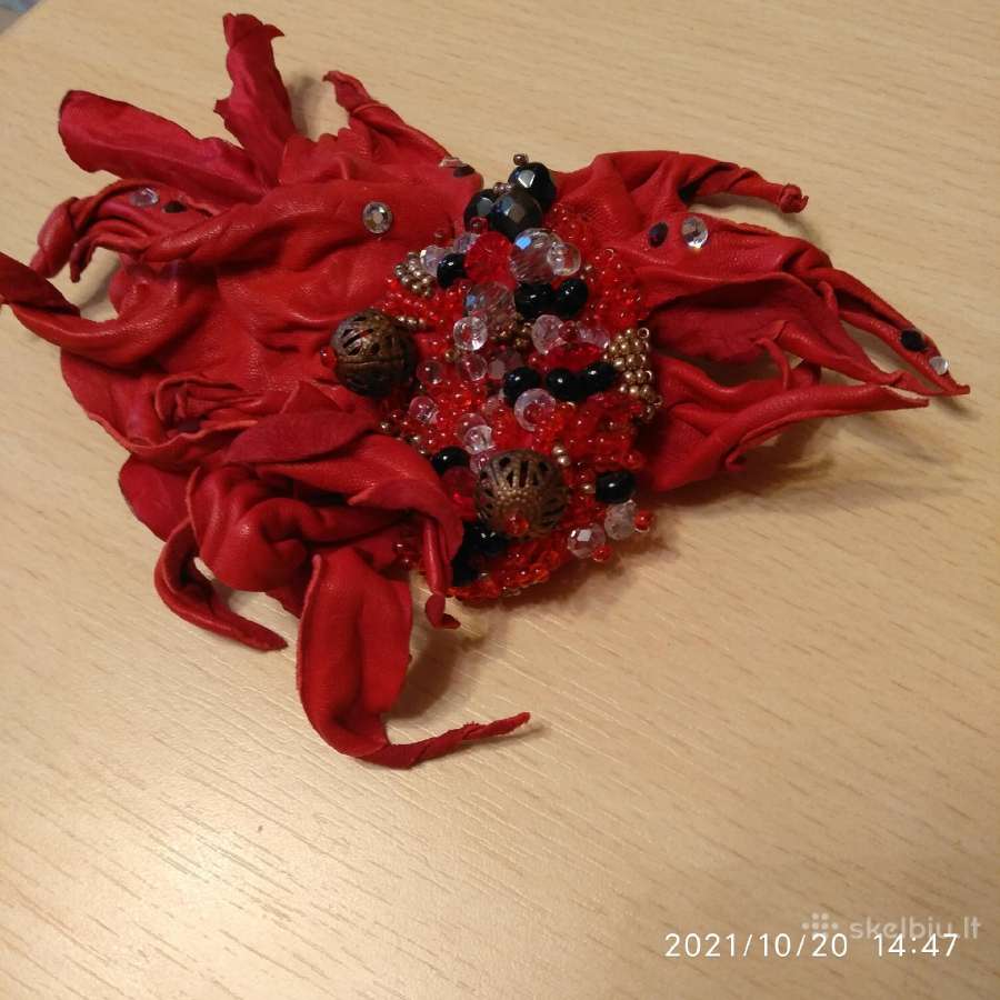 Odinė sagė