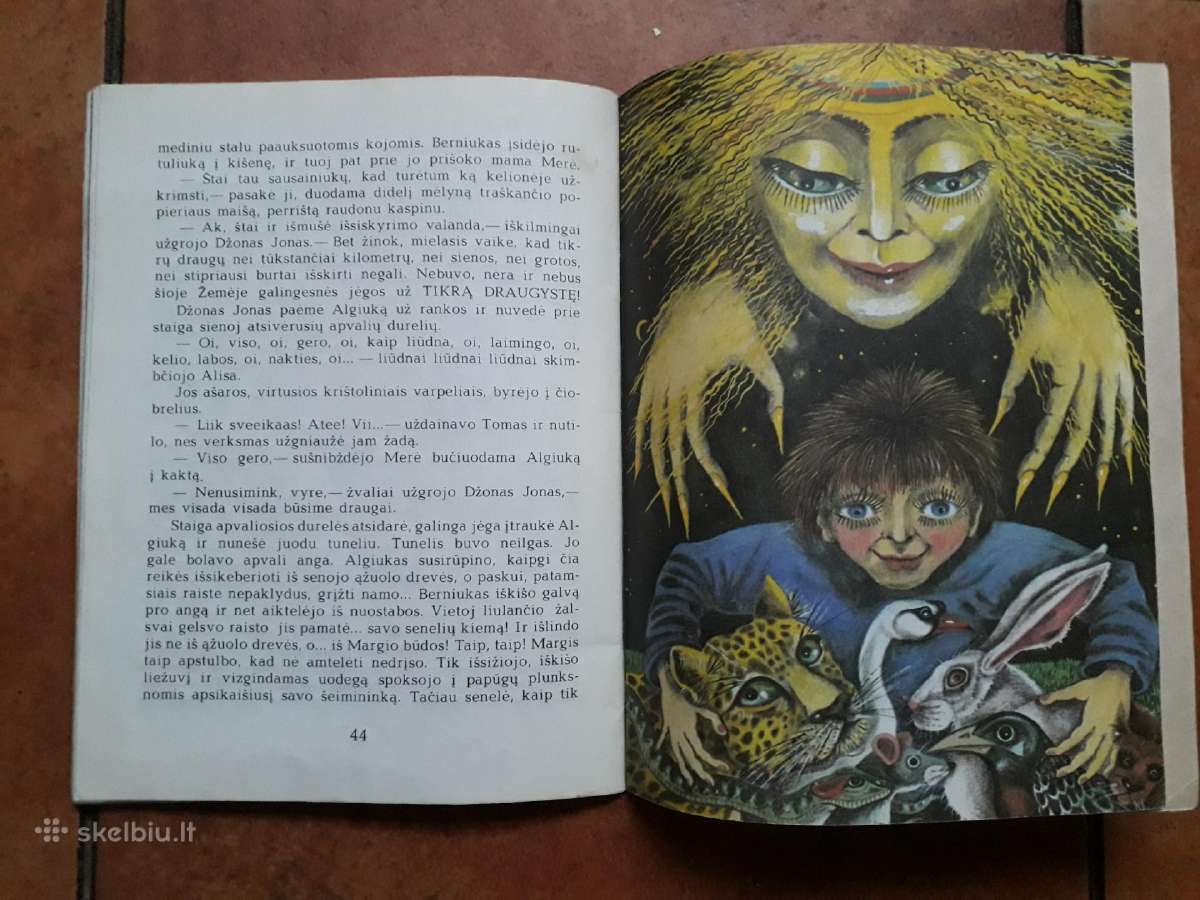 Jurga Ivanauskaitė "Stebuklinga spanguolė" 1991 m. - nuotraukos Nr. 13
