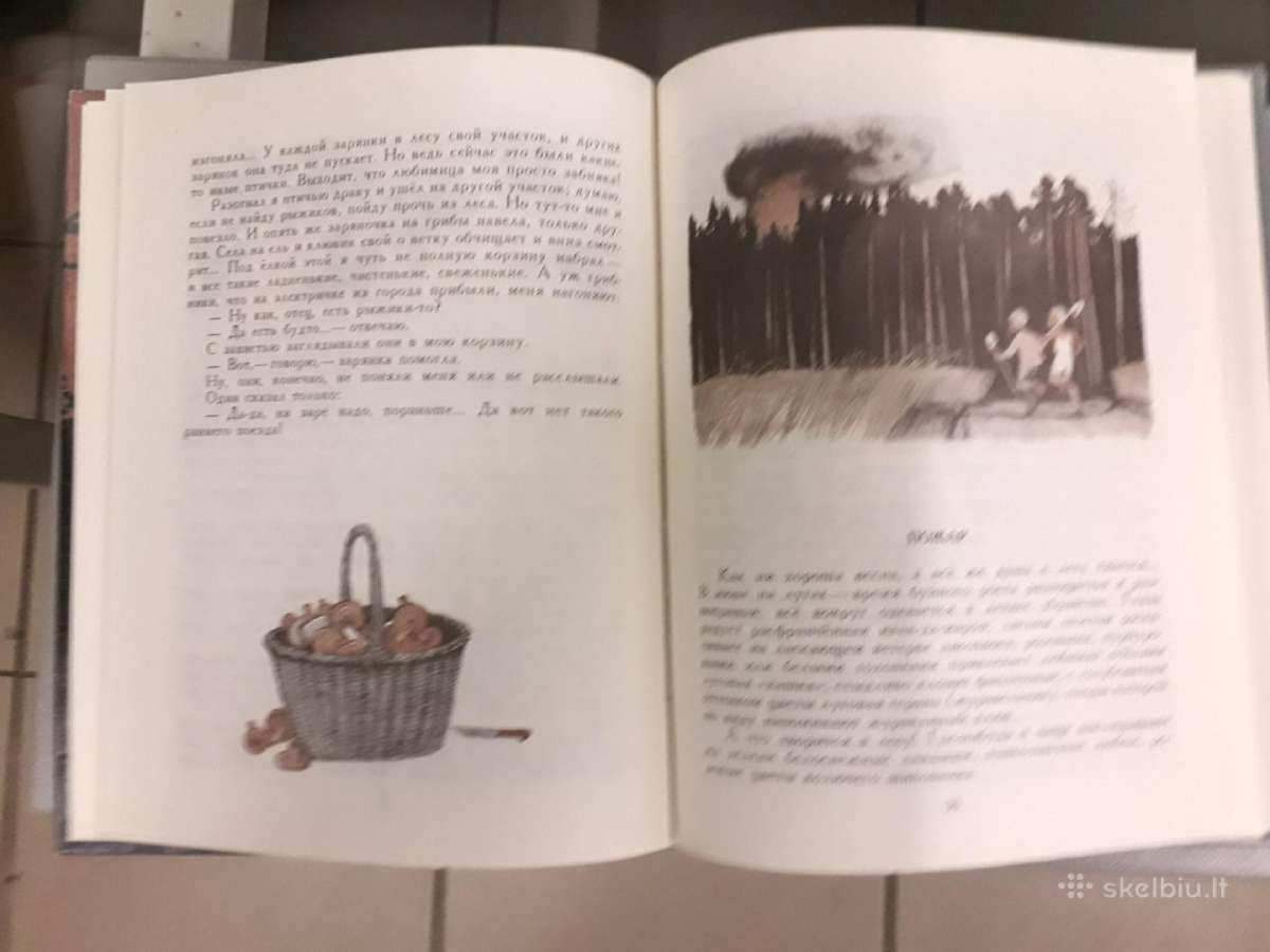 н. Попов "за сказкой расказ, а за расказом сказка" - nuotraukos Nr. 7