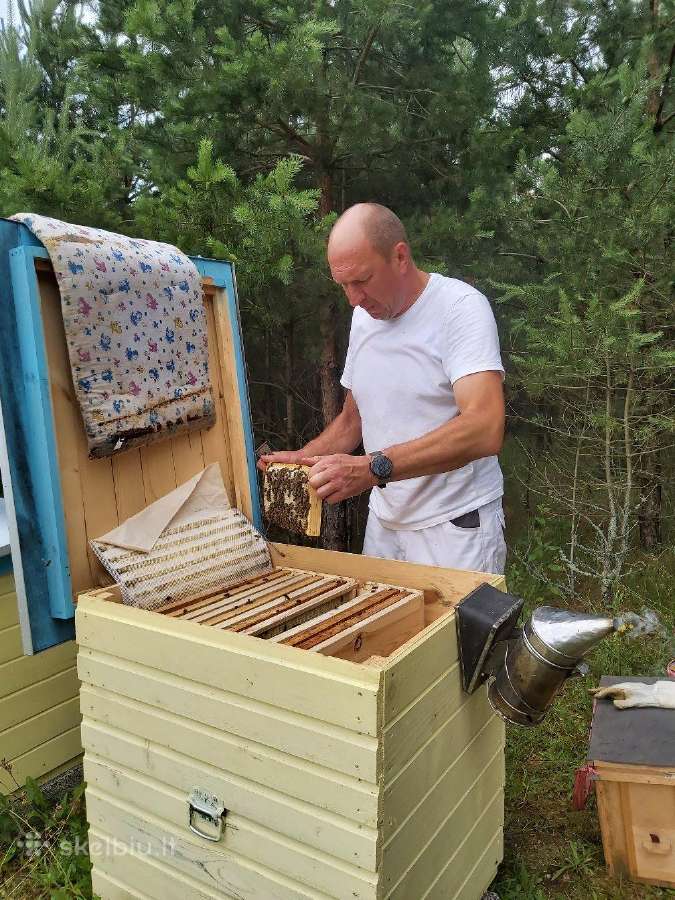 Aviliai, bičių šeimos, kita avilio įranga - nuotraukos Nr. 4