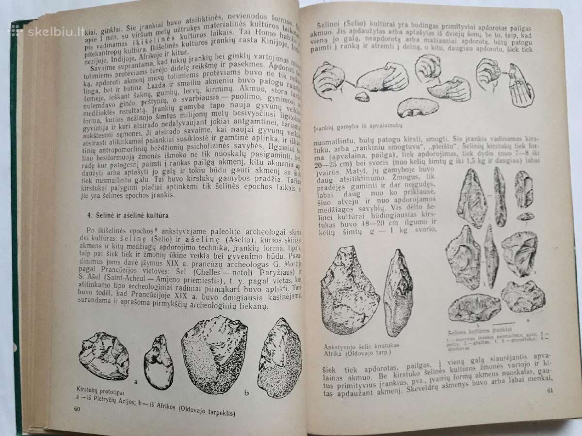 Žmogaus ir pirmykštės visuomenės kilmė bei raida - nuotraukos Nr. 6