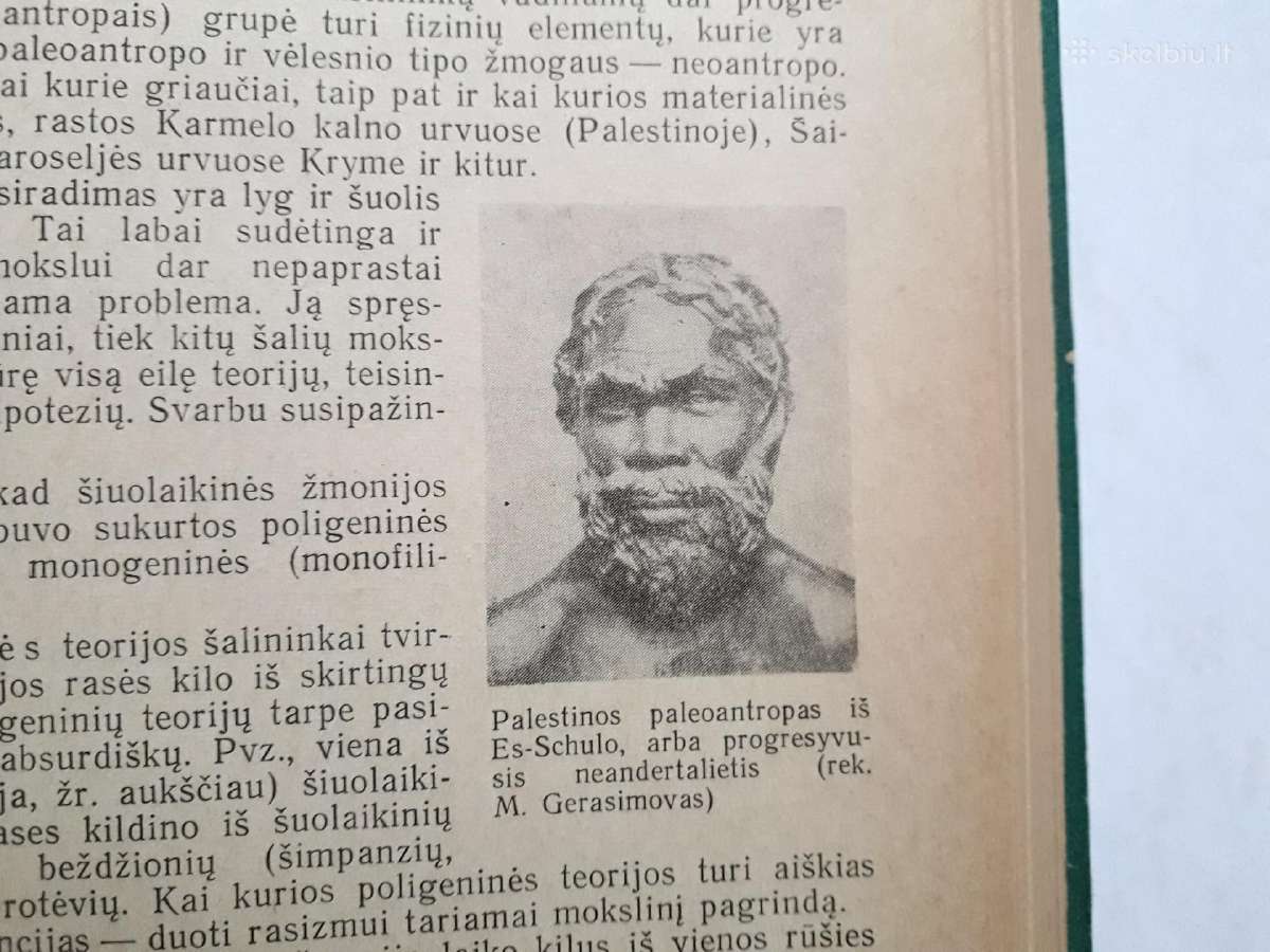 Žmogaus ir pirmykštės visuomenės kilmė bei raida - nuotraukos Nr. 10