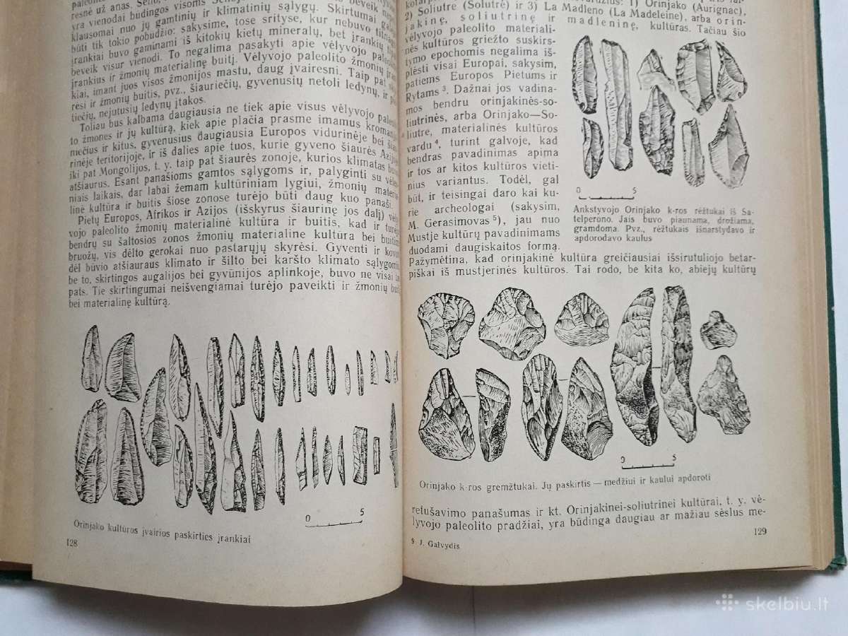 Žmogaus ir pirmykštės visuomenės kilmė bei raida - nuotraukos Nr. 12