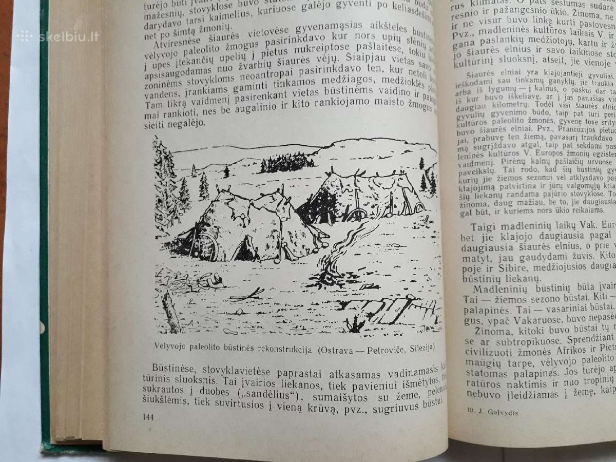 Žmogaus ir pirmykštės visuomenės kilmė bei raida - nuotraukos Nr. 15