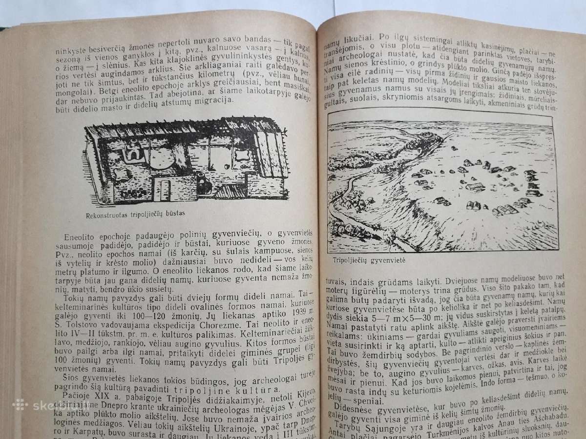 Žmogaus ir pirmykštės visuomenės kilmė bei raida - nuotraukos Nr. 16