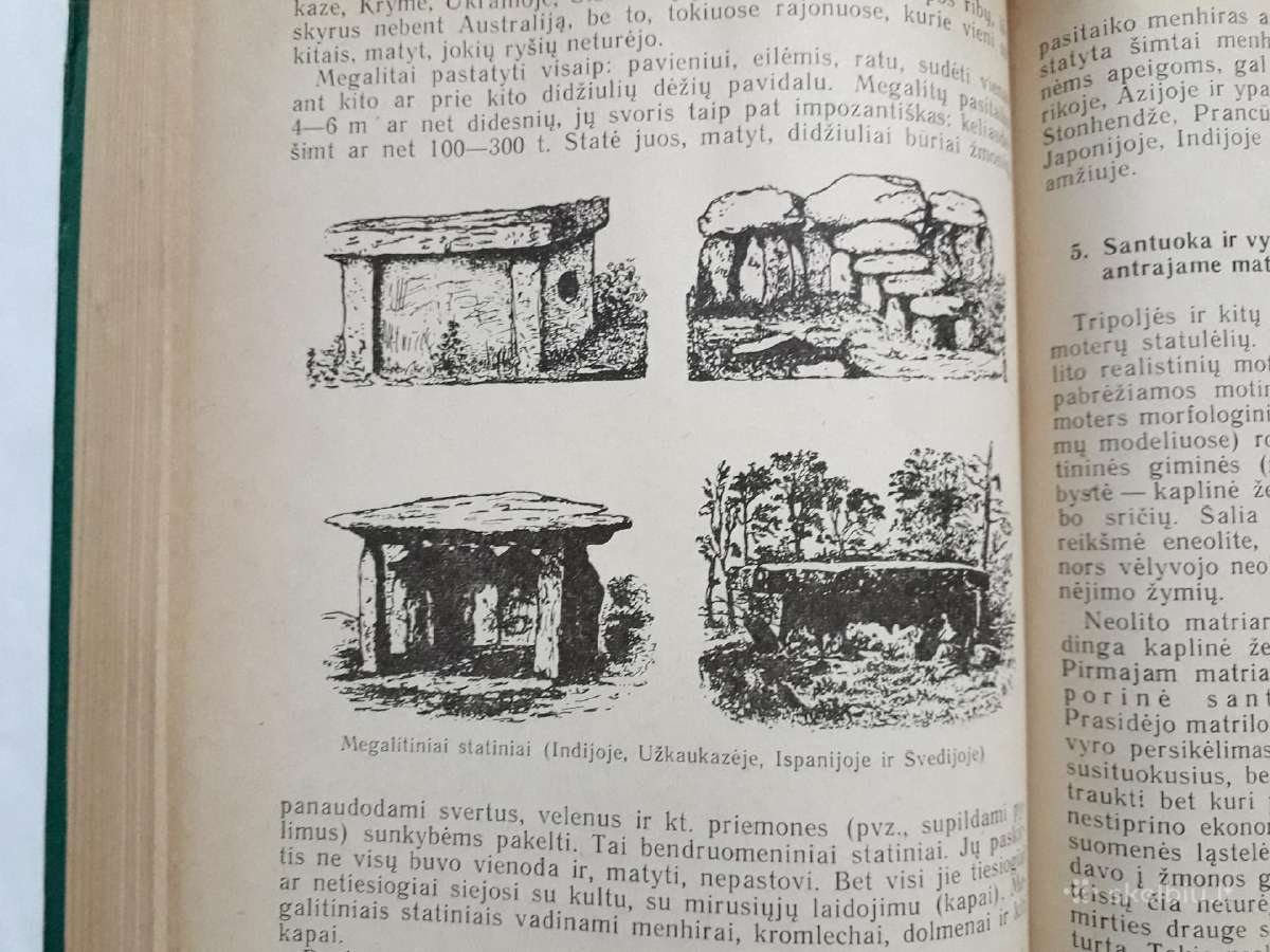 Žmogaus ir pirmykštės visuomenės kilmė bei raida - nuotraukos Nr. 17