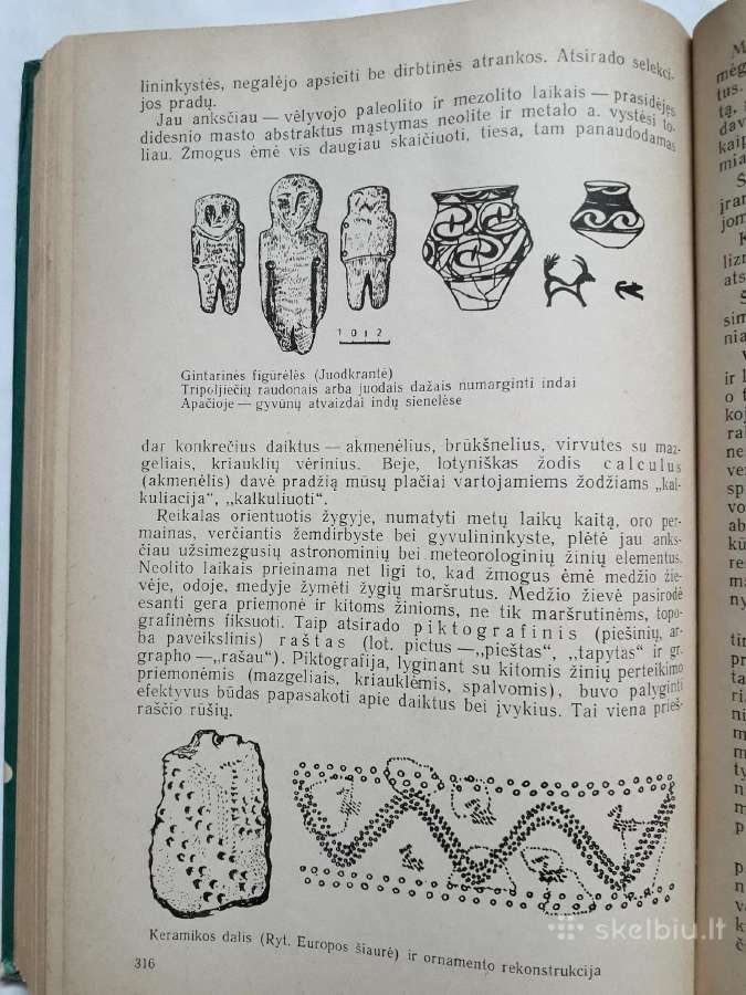 Žmogaus ir pirmykštės visuomenės kilmė bei raida - nuotraukos Nr. 20