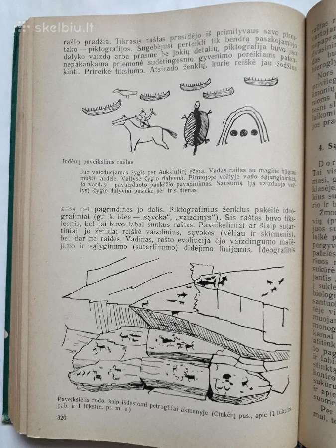 Žmogaus ir pirmykštės visuomenės kilmė bei raida - nuotraukos Nr. 22