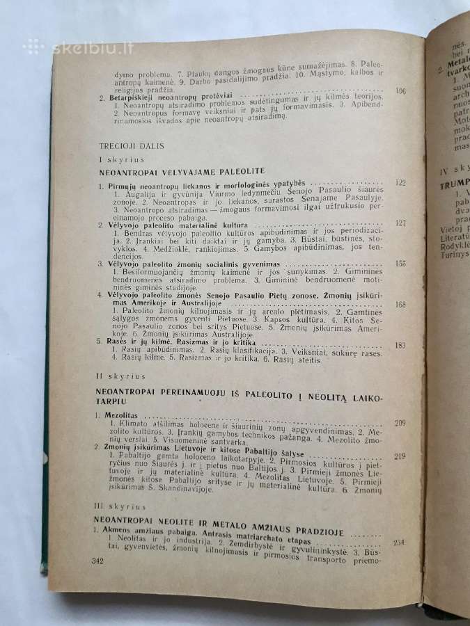Žmogaus ir pirmykštės visuomenės kilmė bei raida - nuotraukos Nr. 24