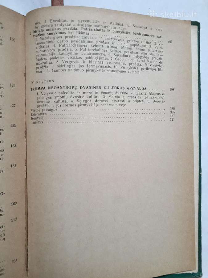 Žmogaus ir pirmykštės visuomenės kilmė bei raida - nuotraukos Nr. 25