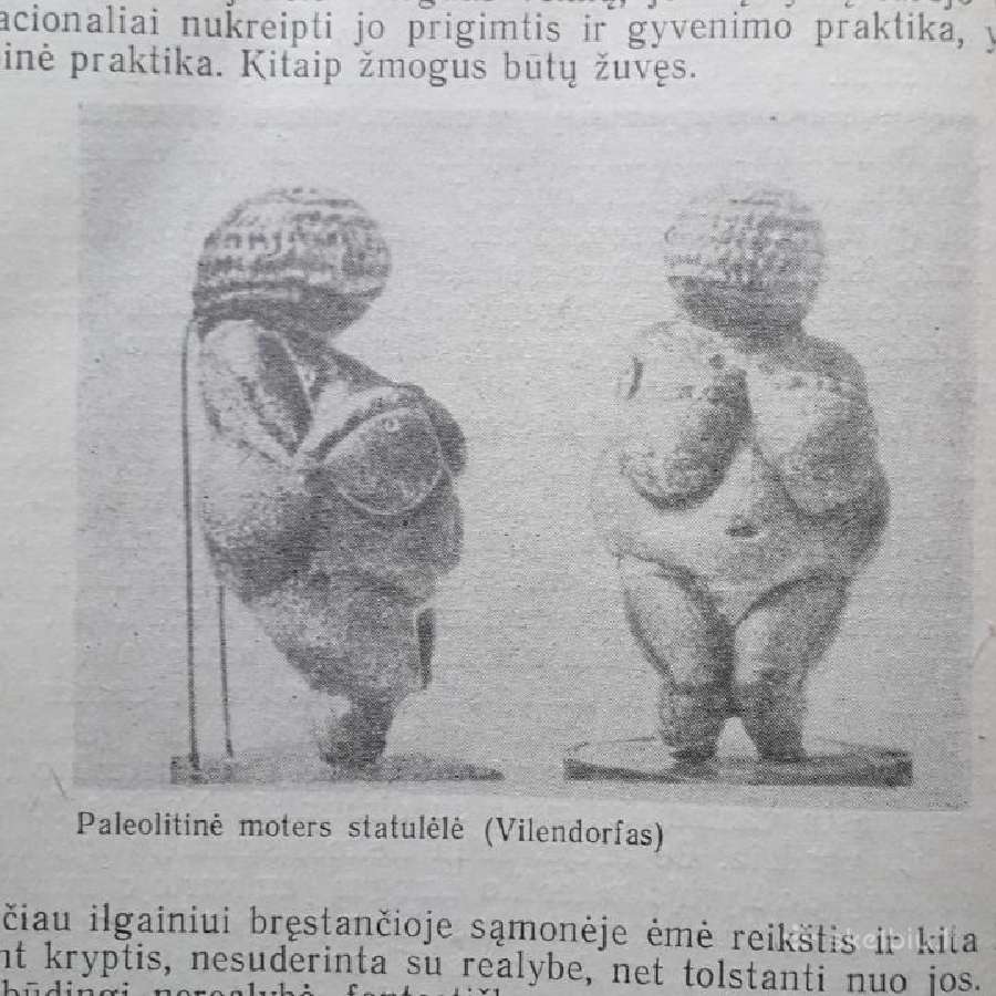 Žmogaus ir pirmykštės visuomenės kilmė bei raida - nuotraukos Nr. 21