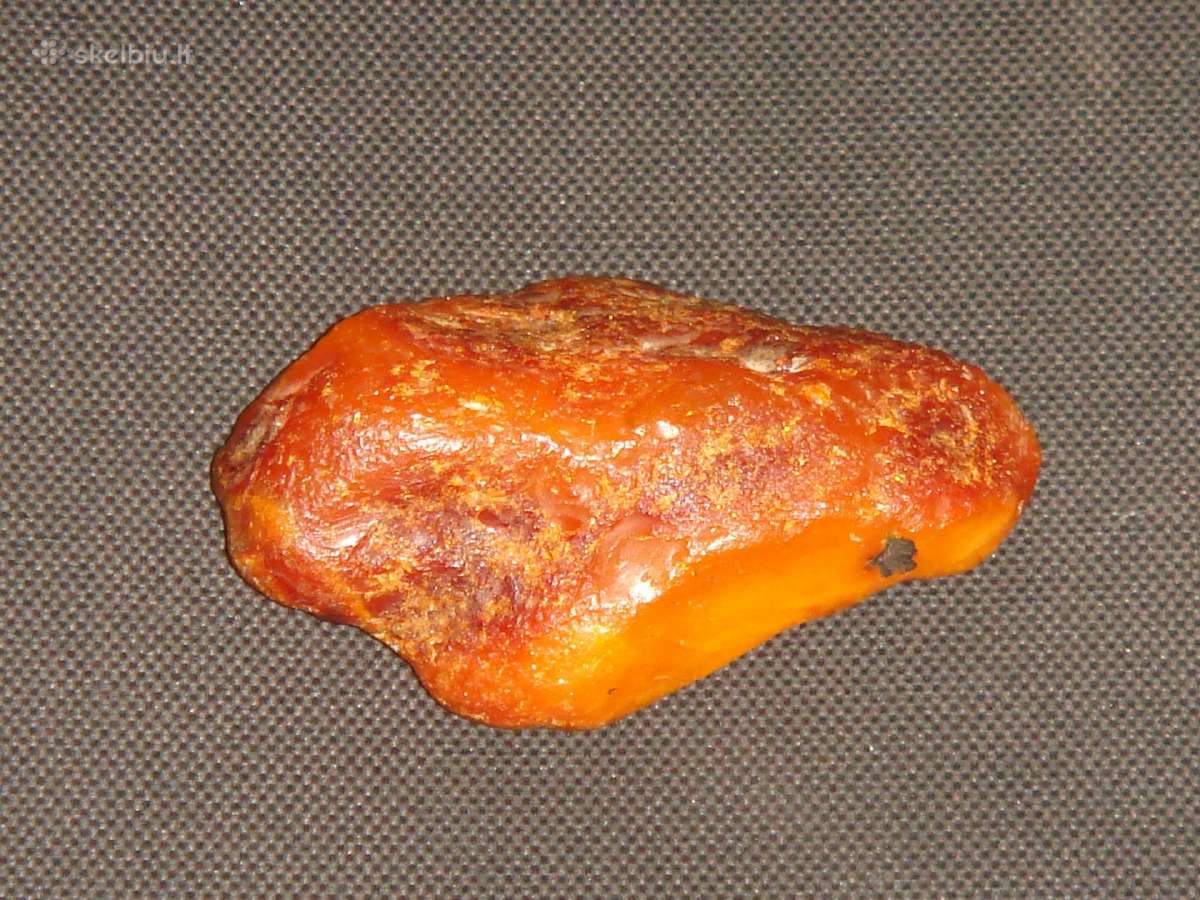 Gintaras 37gr.