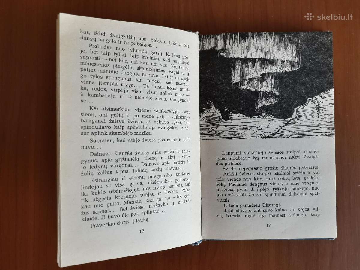 Rimantas Budrys "Fėjos ir jų šuo" 1986 metai - nuotraukos Nr. 3