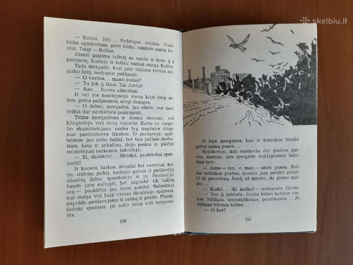 Rimantas Budrys "Fėjos ir jų šuo" 1986 metai - nuotraukos Nr. 4