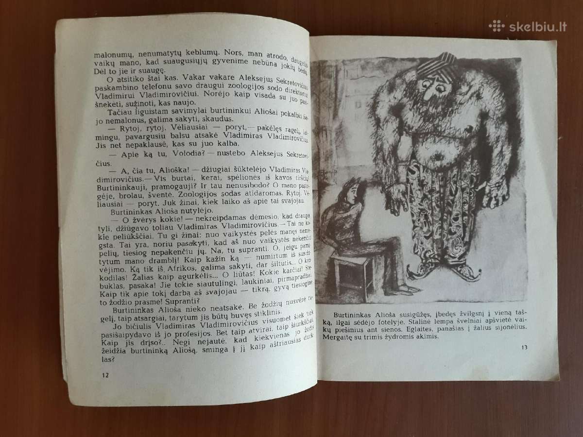 S. Prokofjeva "Burtininko mokinys" 1987 metai - nuotraukos Nr. 3