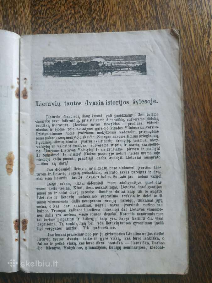 1919 m.knyga Lietuvių tautos dvasia istorijos švie - nuotraukos Nr. 3