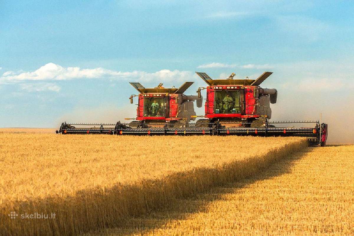 Grudų supirkimas, atsiskaitome iš karto!