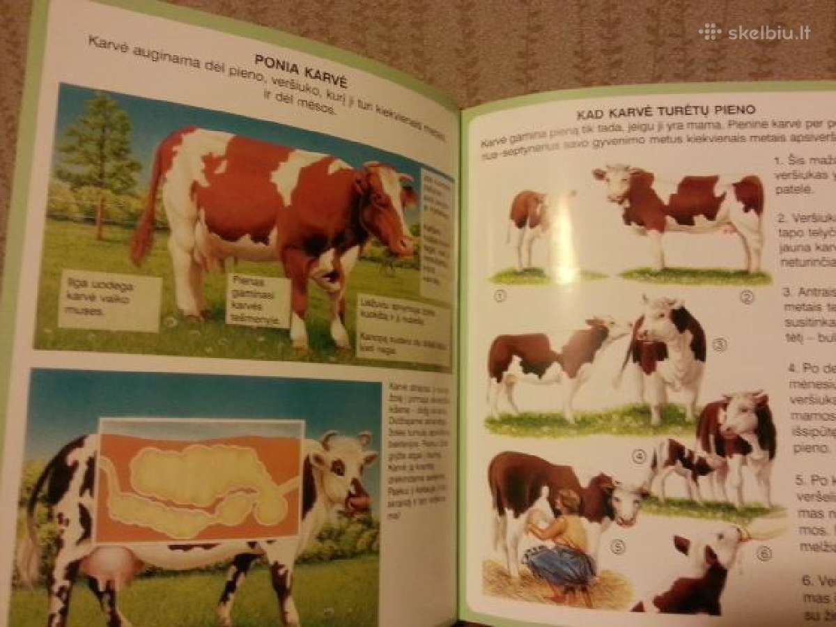 Knyga vaikams "Darbai ūkyje" - nuotraukos Nr. 5