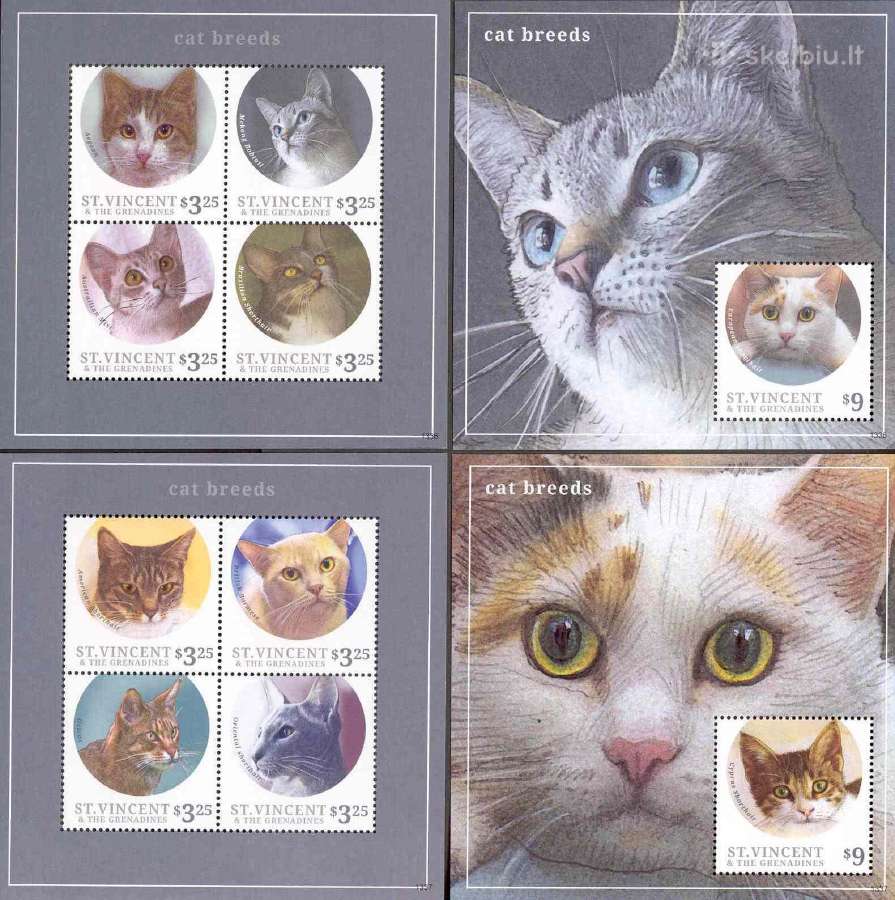 Sent Vinsentas ir Granadunau 2014. Katės.