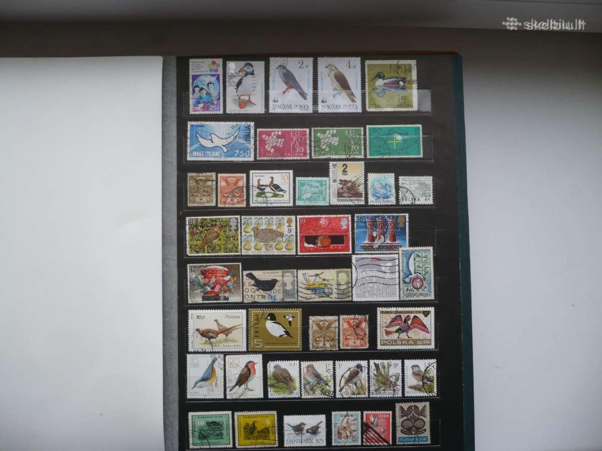 Tema - Paukšciai 189 vnt. Pasirinkimas