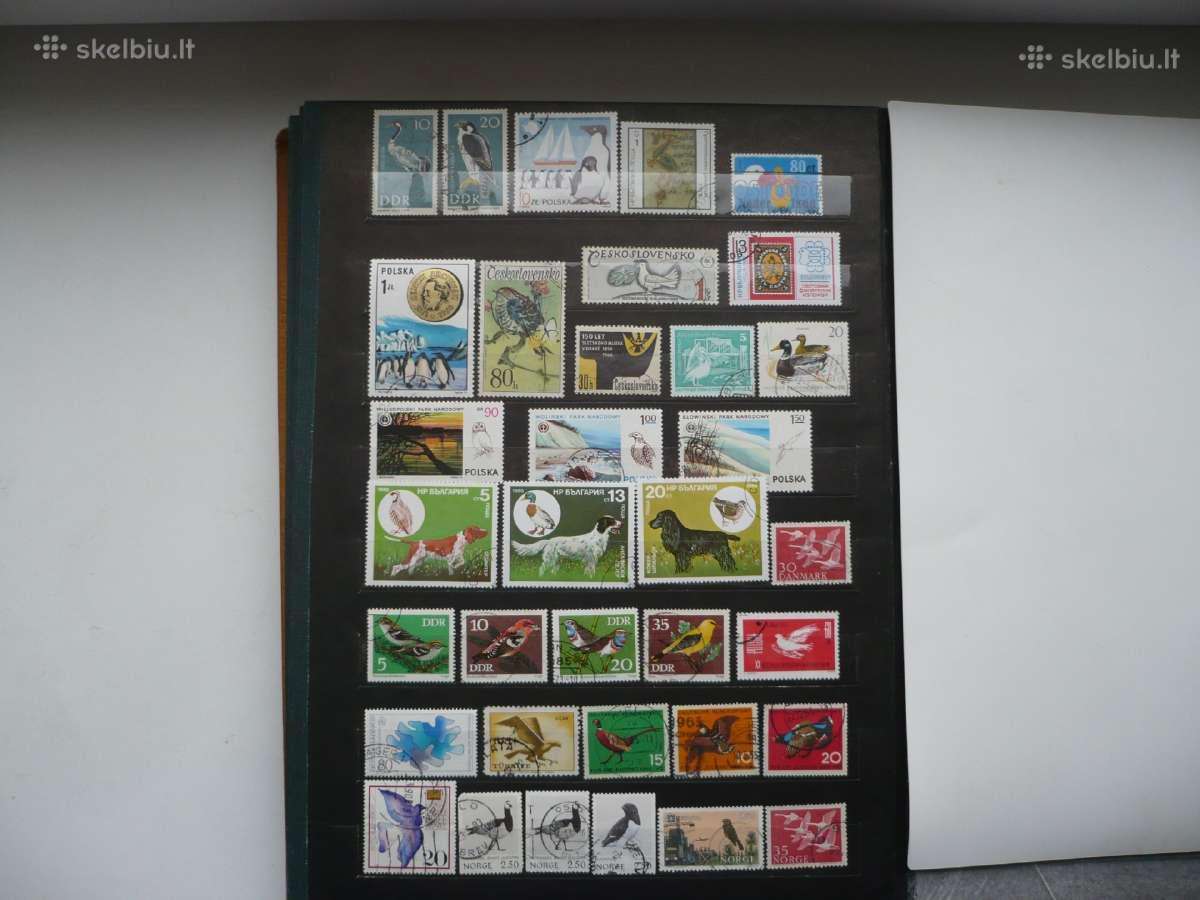 Tema - Paukšciai 189 vnt. Pasirinkimas - nuotraukos Nr. 2