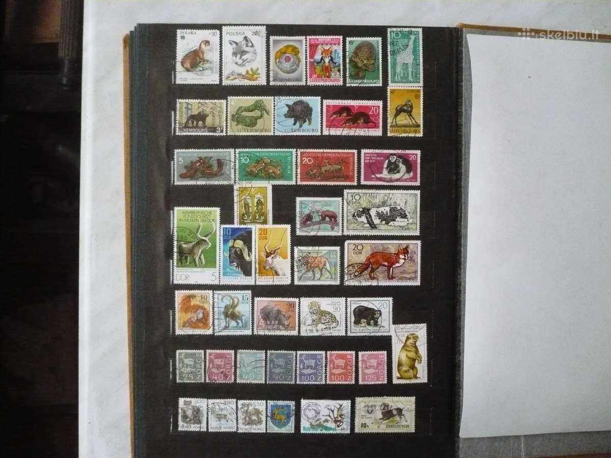 Tema - Gyvūnija 243 vnt. Pasirinkimas