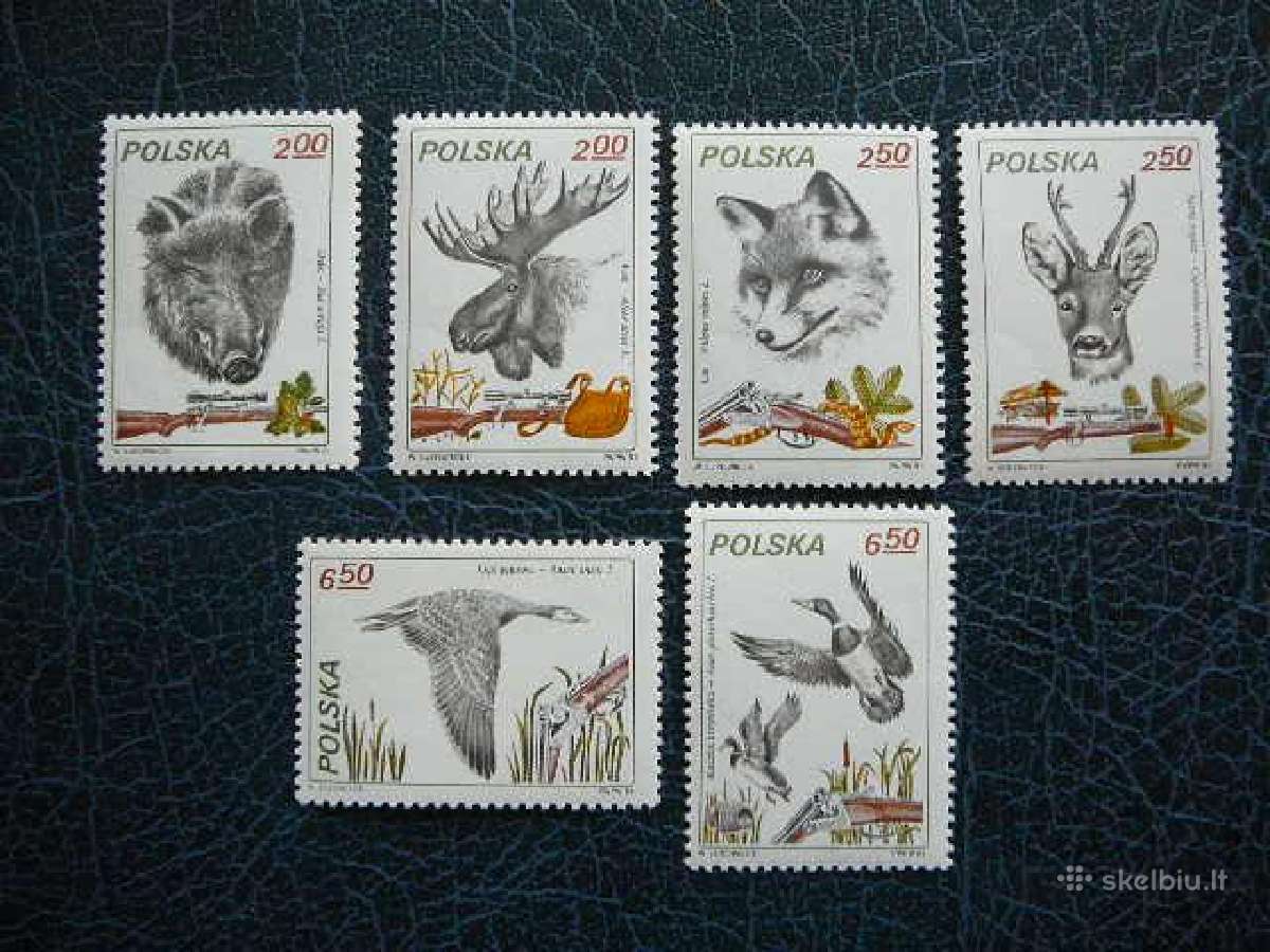 Zverys medziojami Lenkija 1981 Mnh lk2746