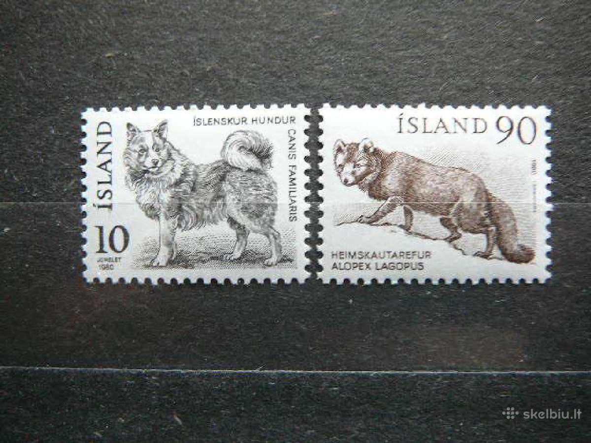 Sunys Lapes Islandija 1980 svarus isl551