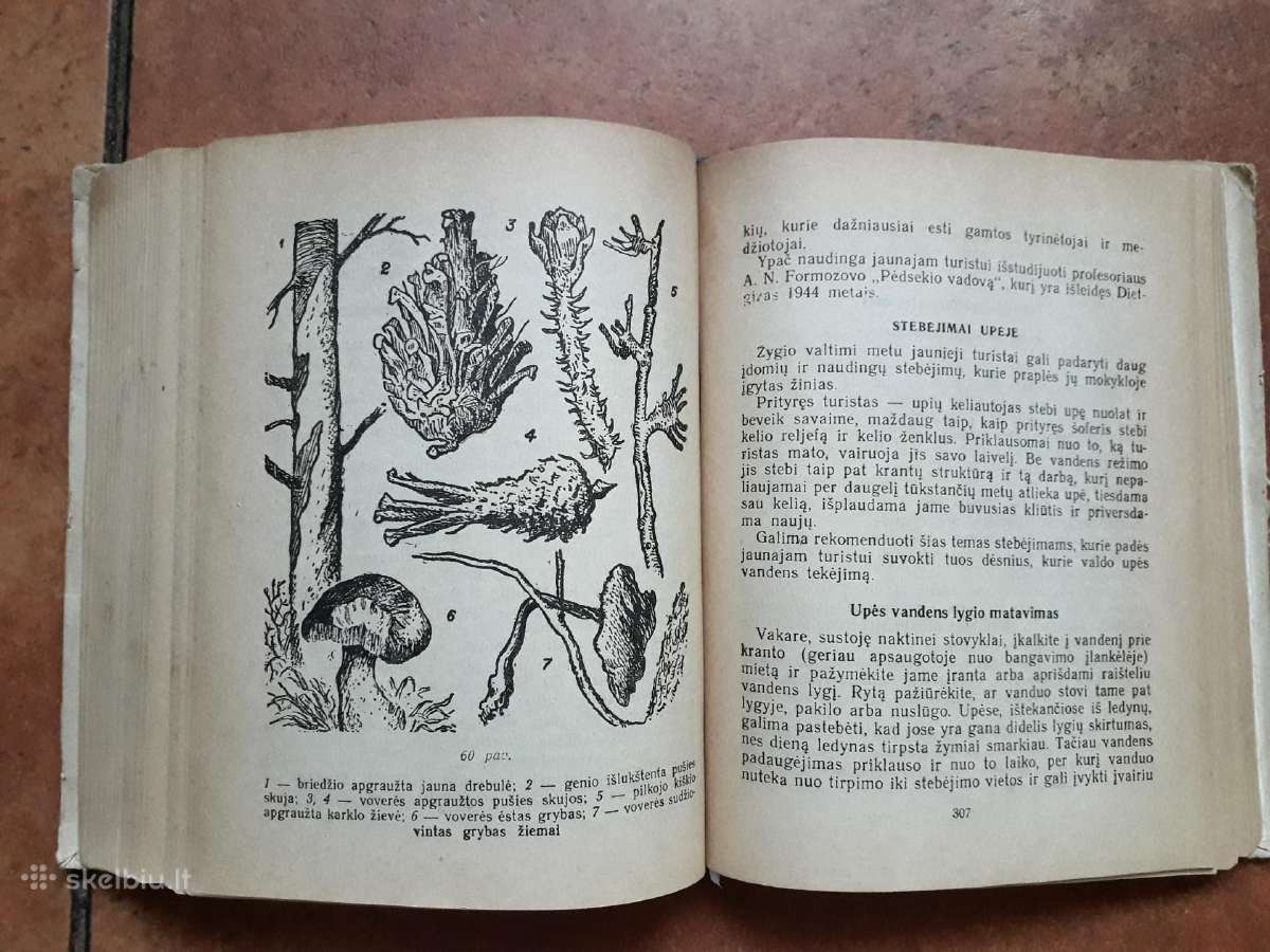 "Jaunojo turisto vadovas" 1950 metai - nuotraukos Nr. 24