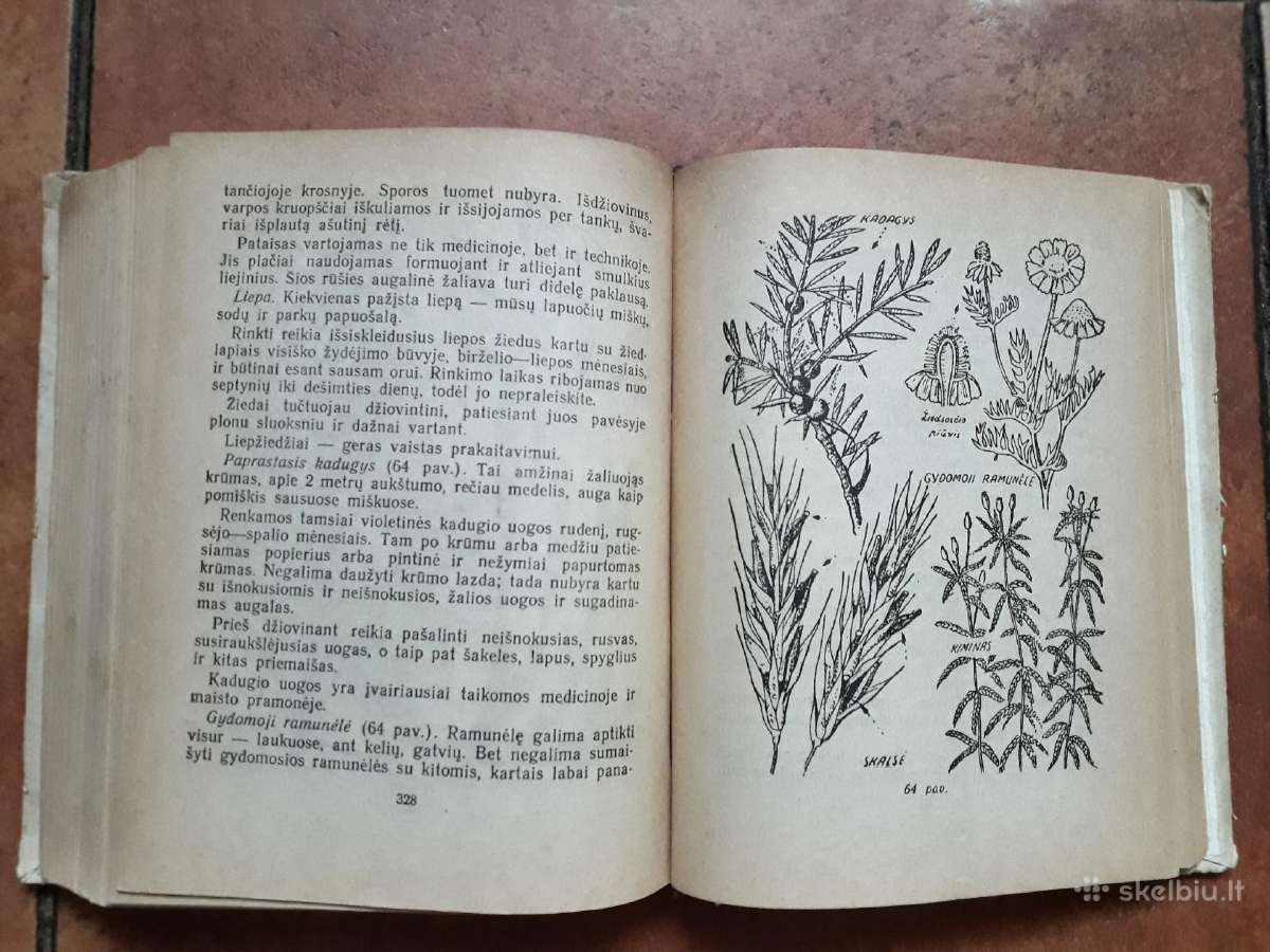 "Jaunojo turisto vadovas" 1950 metai - nuotraukos Nr. 26