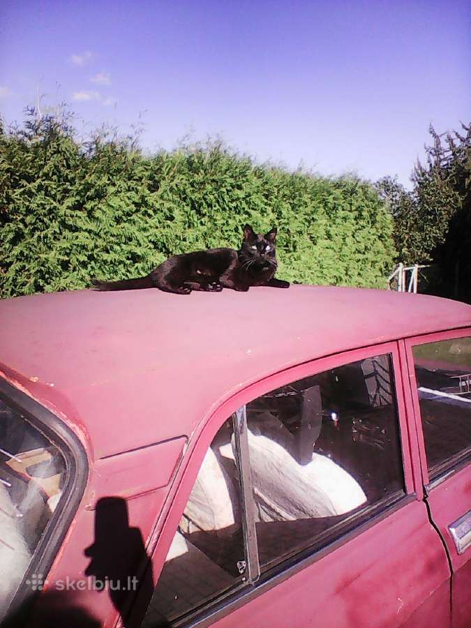 Automobilis Moskvich 2140 - nuotraukos Nr. 7