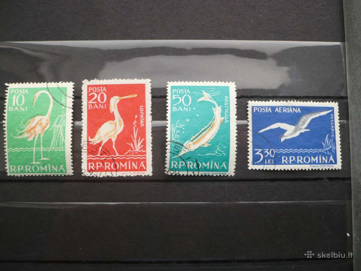 1957 Paukščiai – Dunojaus deltos fauna