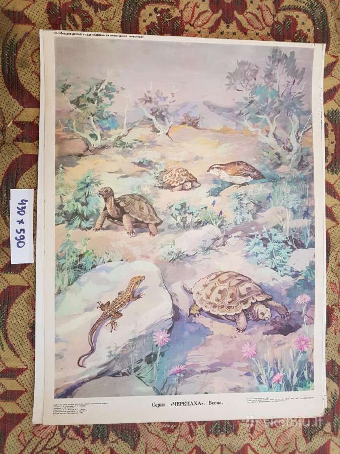 Plakatai piešiniai 1970metai,laiškadežė. - nuotraukos Nr. 20