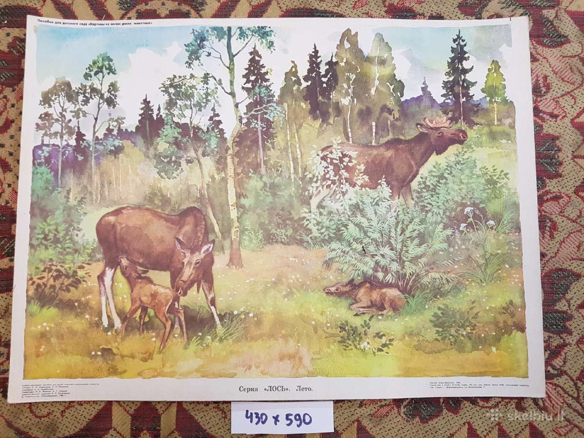Plakatai piešiniai 1970metai,laiškadežė. - nuotraukos Nr. 15