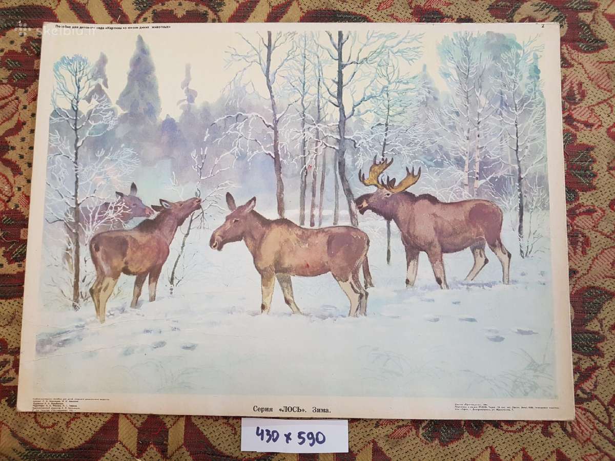 Plakatai piešiniai 1970metai,laiškadežė. - nuotraukos Nr. 14