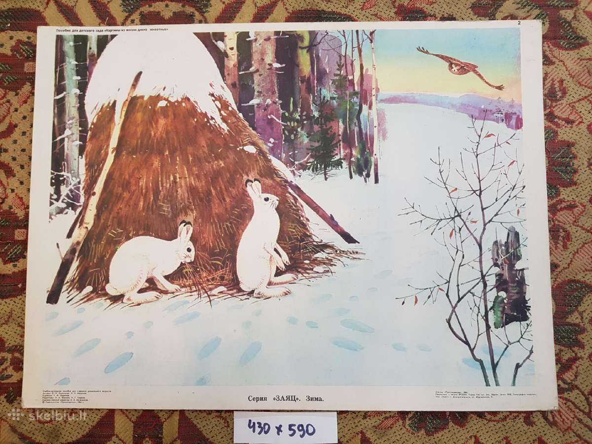 Plakatai piešiniai 1970metai,laiškadežė. - nuotraukos Nr. 13