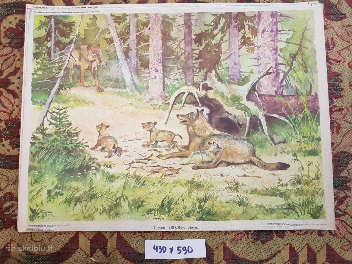 Plakatai piešiniai 1970metai,laiškadežė. - nuotraukos Nr. 17
