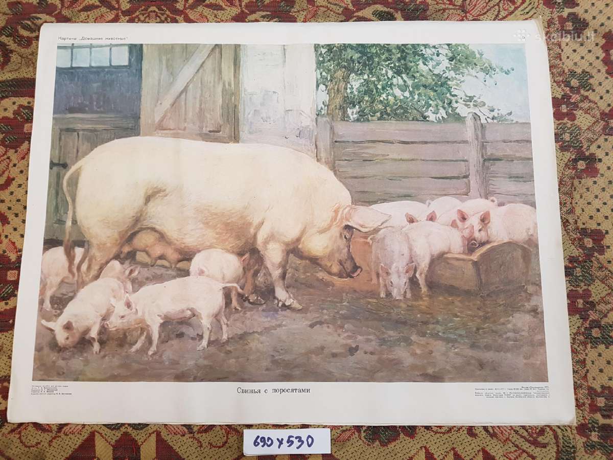 Plakatai piešiniai 1970metai,laiškadežė. - nuotraukos Nr. 23