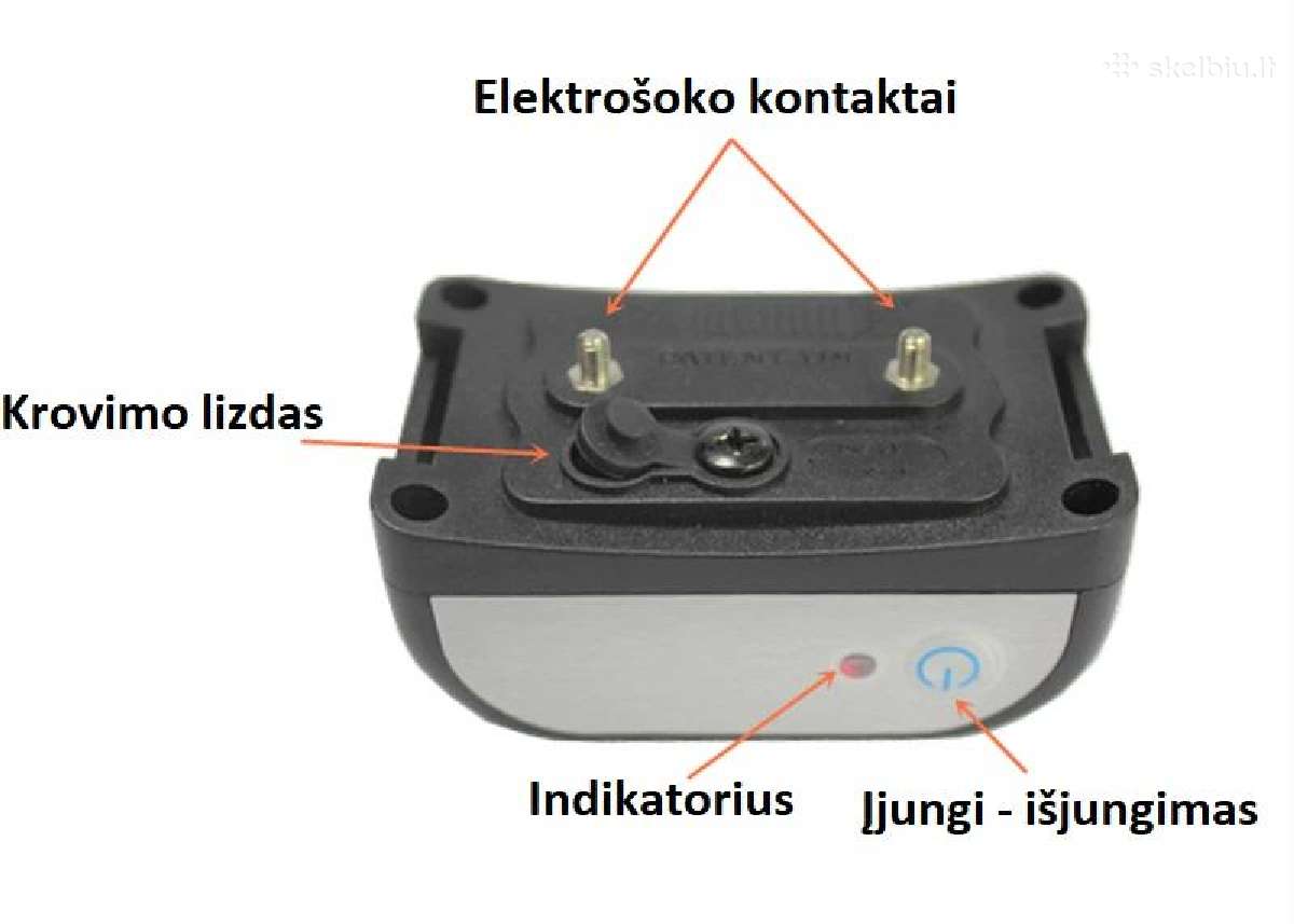Nematoma Vielinė Elektrinė Tvora Dviems Šunims - nuotraukos Nr. 3