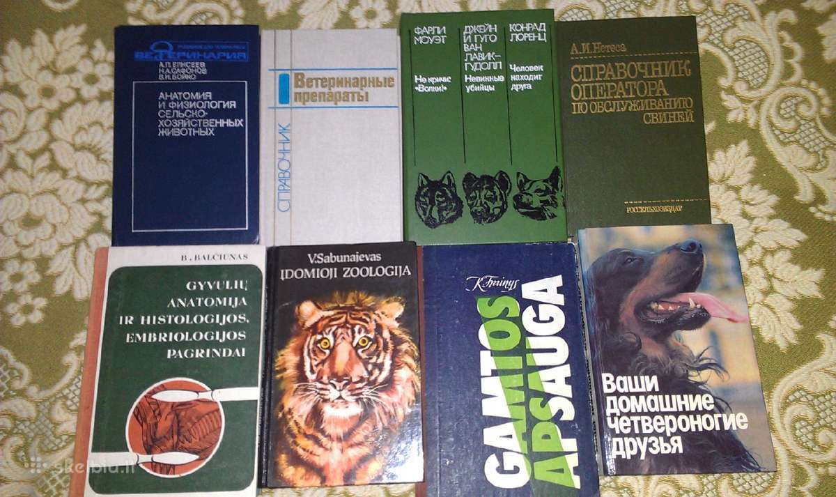 "ваши домашние четвероногие друзья" - nuotraukos Nr. 5