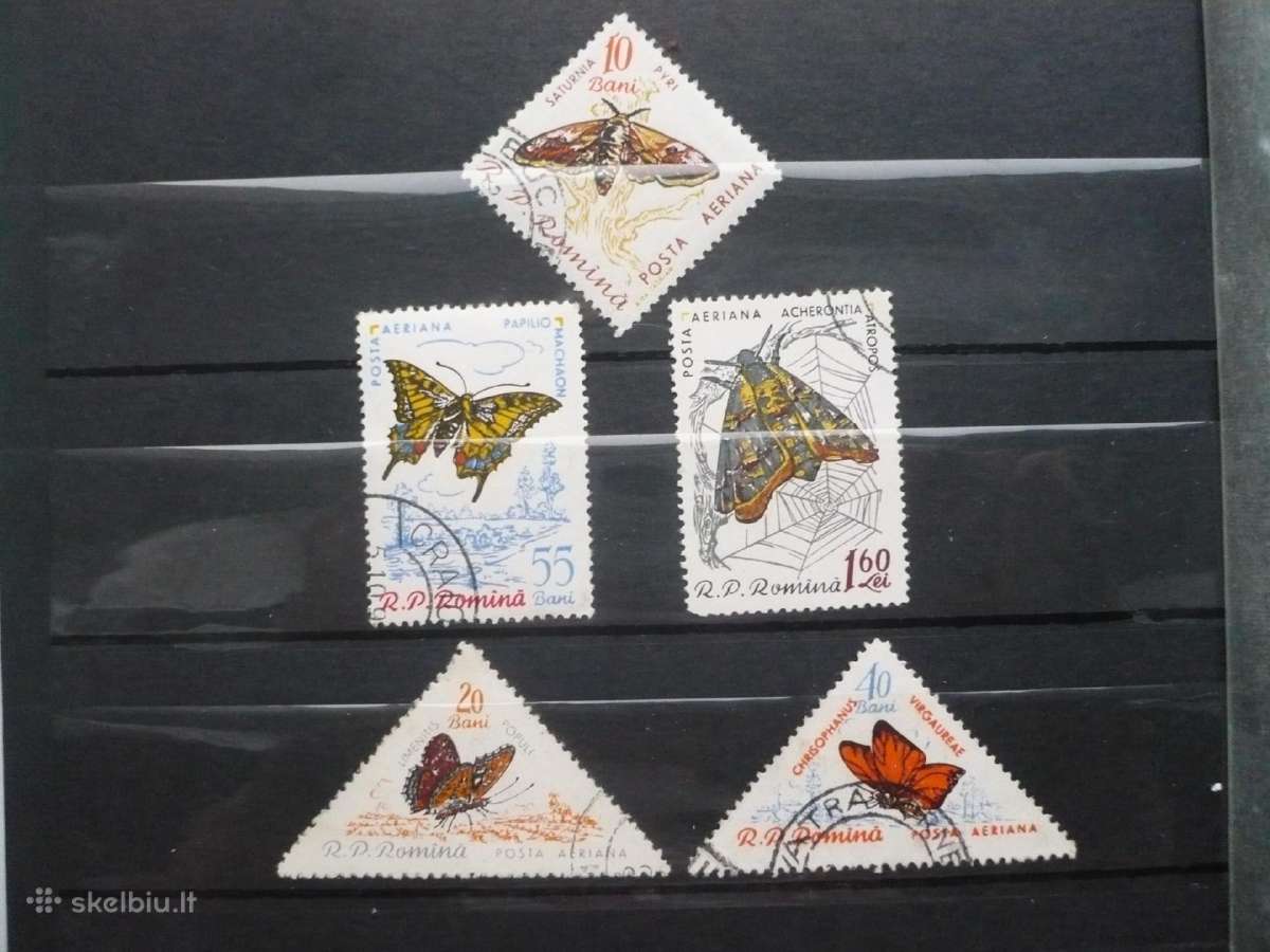 1960 m. Drugeliai ir kandys