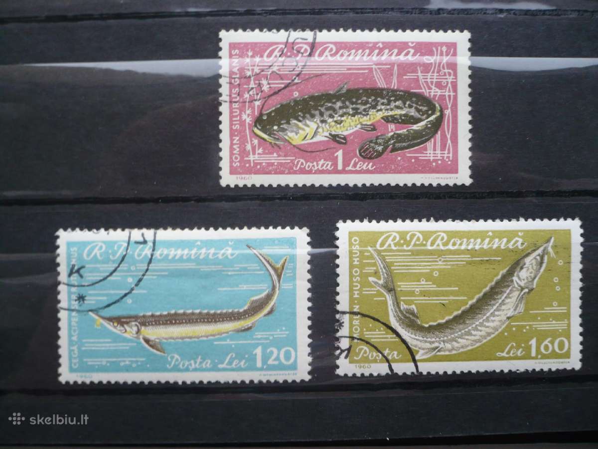 1960 Žuvys
