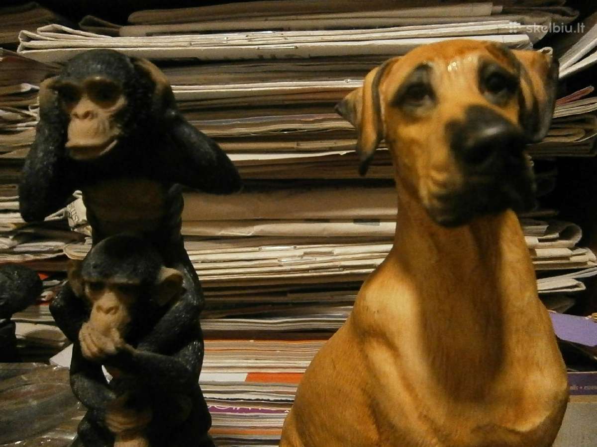 Dogo skulptūra dūžtanti 17cm 1993m - nuotraukos Nr. 2