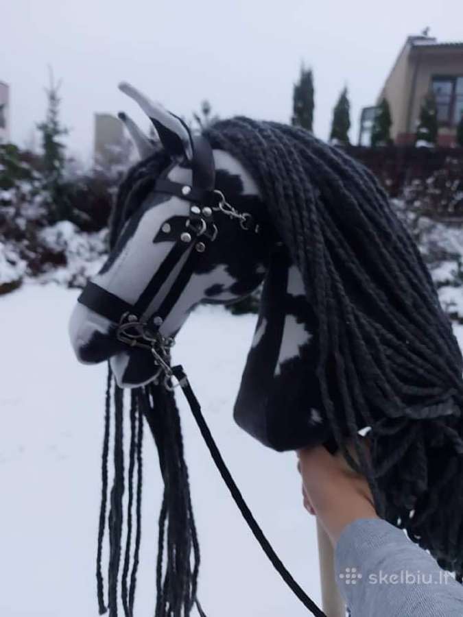 Hobby Horsing Arkliukai - nuotraukos Nr. 22