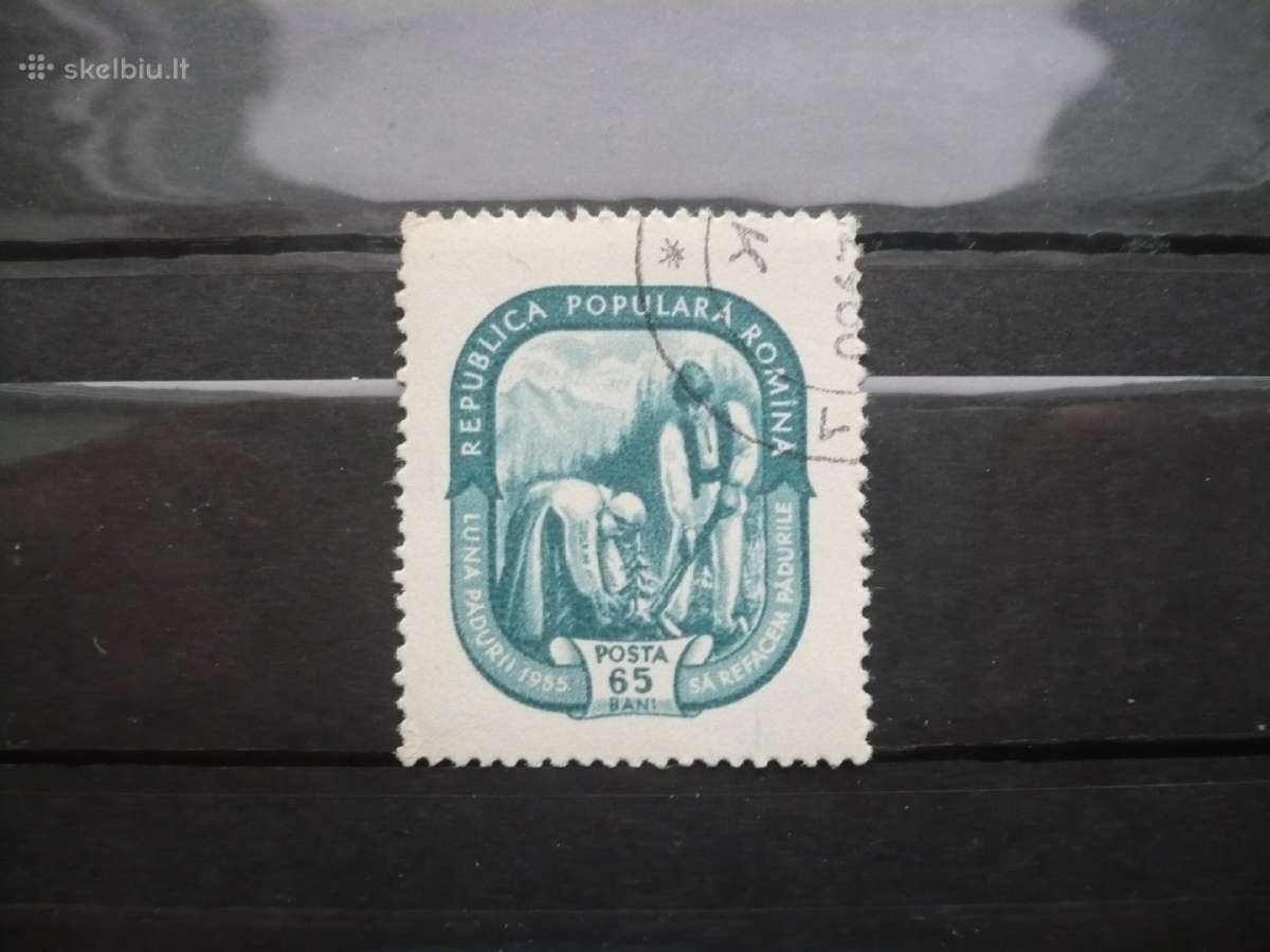1955 m. miško mėnuo