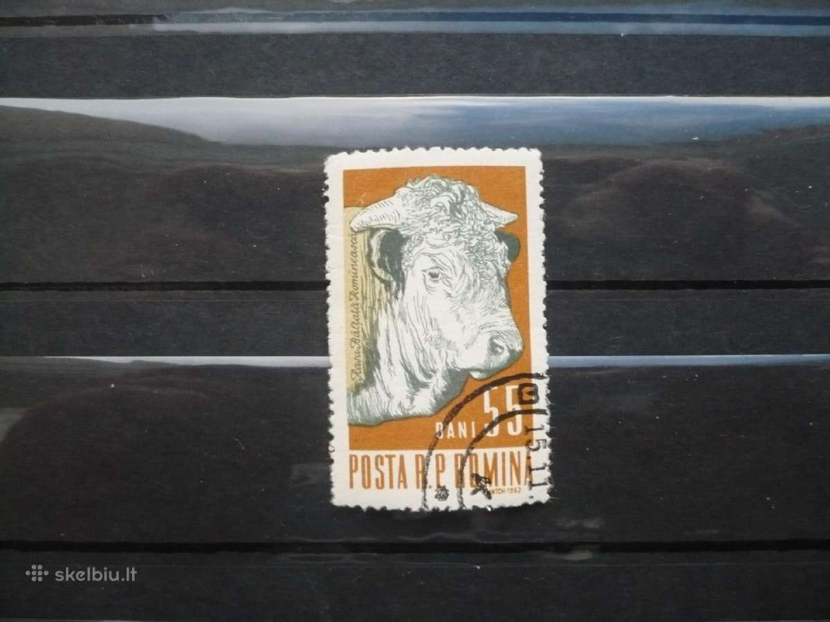 1962 Naminiai gyvūnai