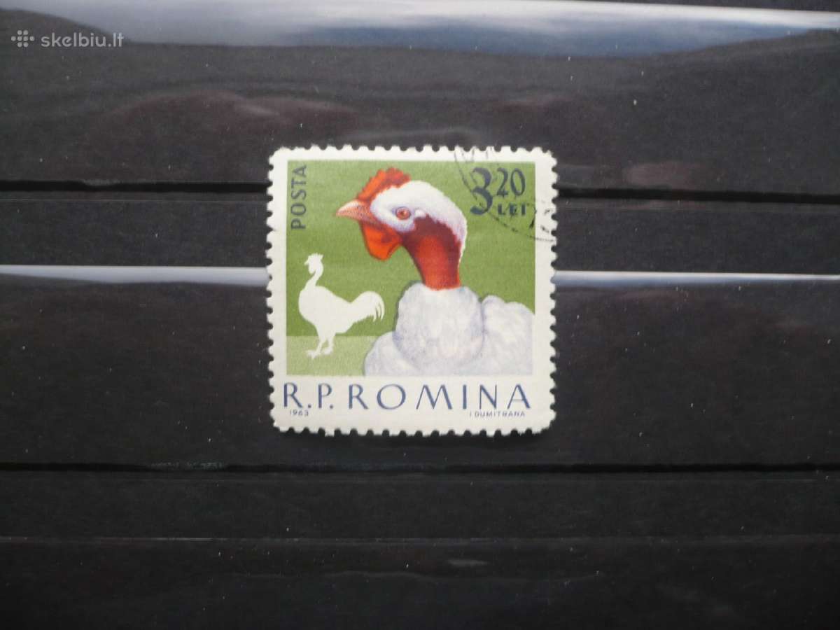 1963 m. paukščiai – naminiai paukščiai