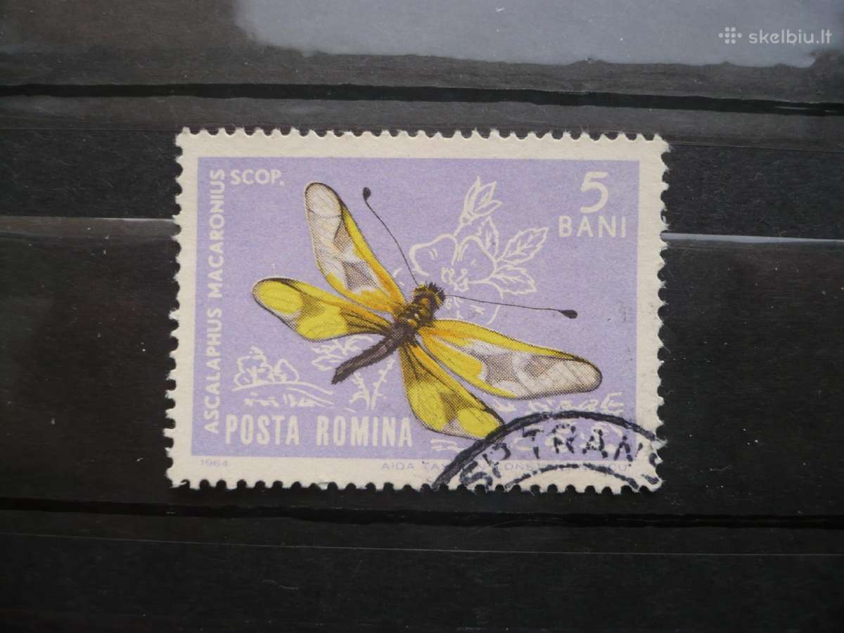 1964 m. Vabzdžiai
